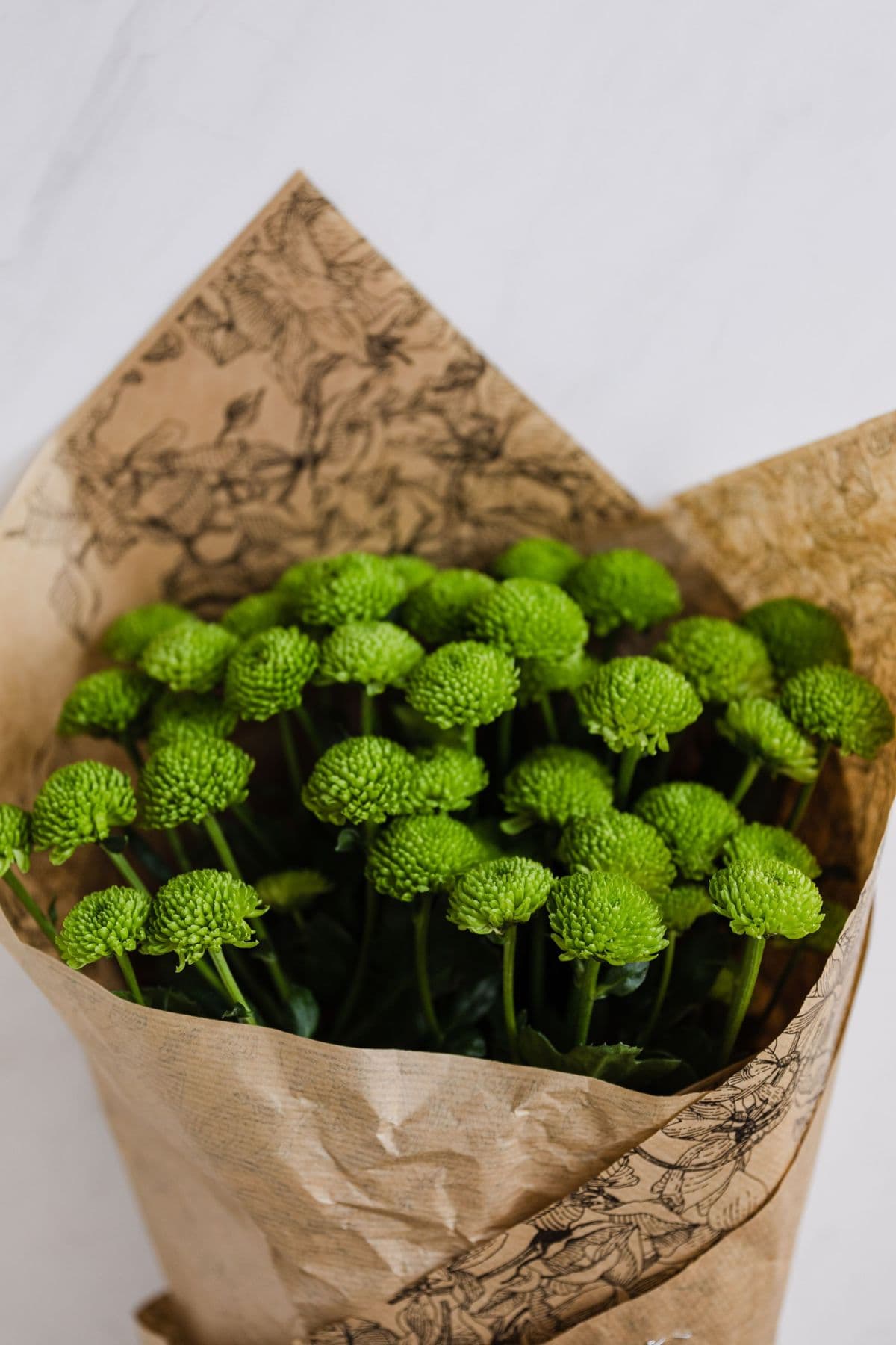 Bunch of green button chrysanthemums wrapped in brown kraft paper