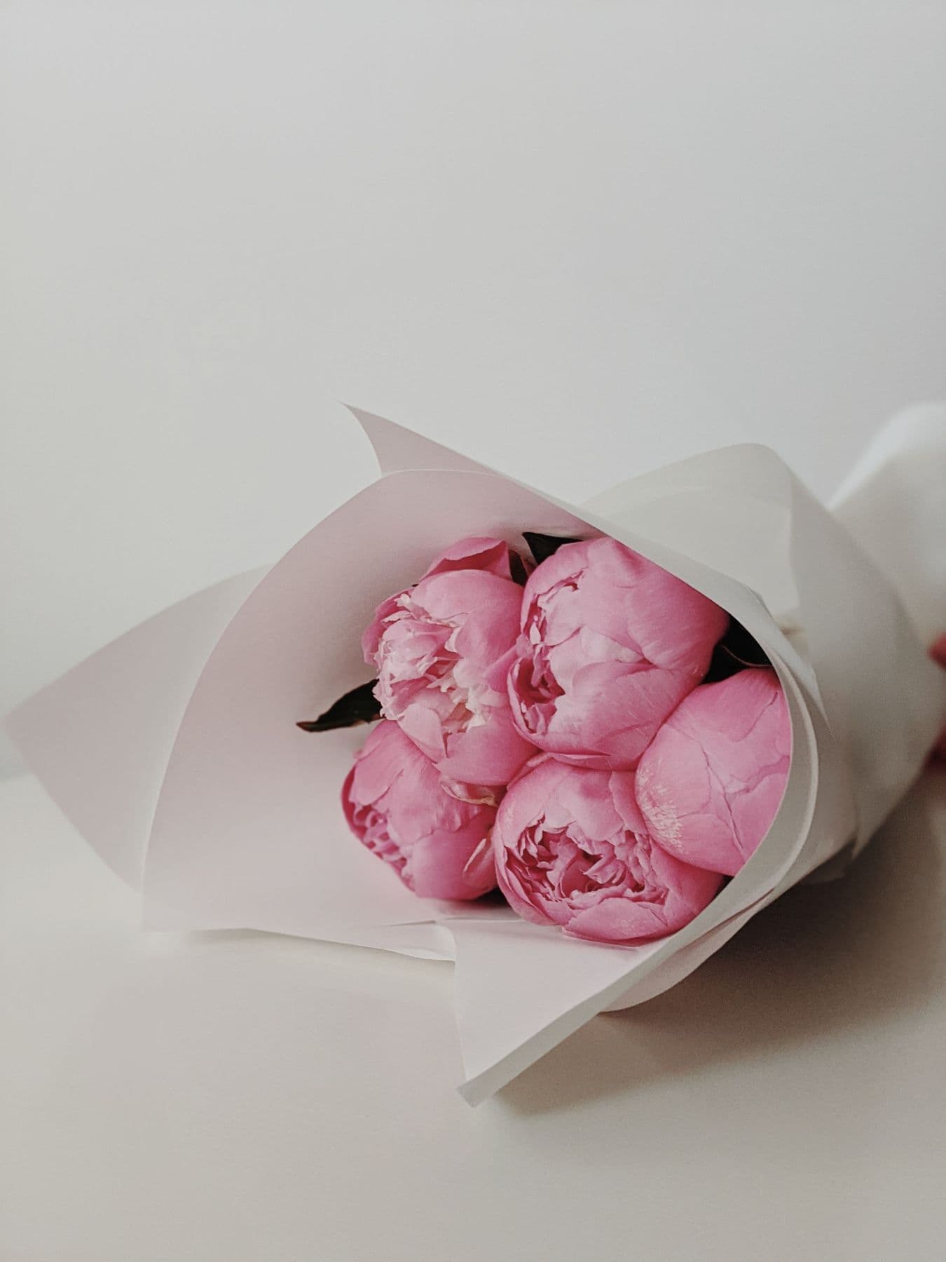 Pink peonies wrapped in white paper