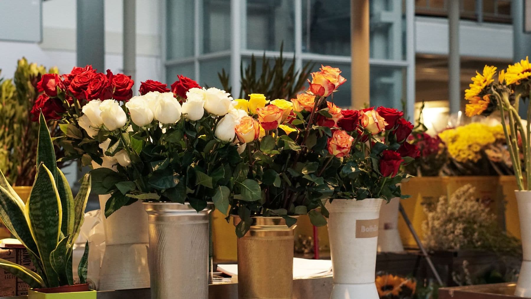 Buckets of roses and sunflowers in the shop