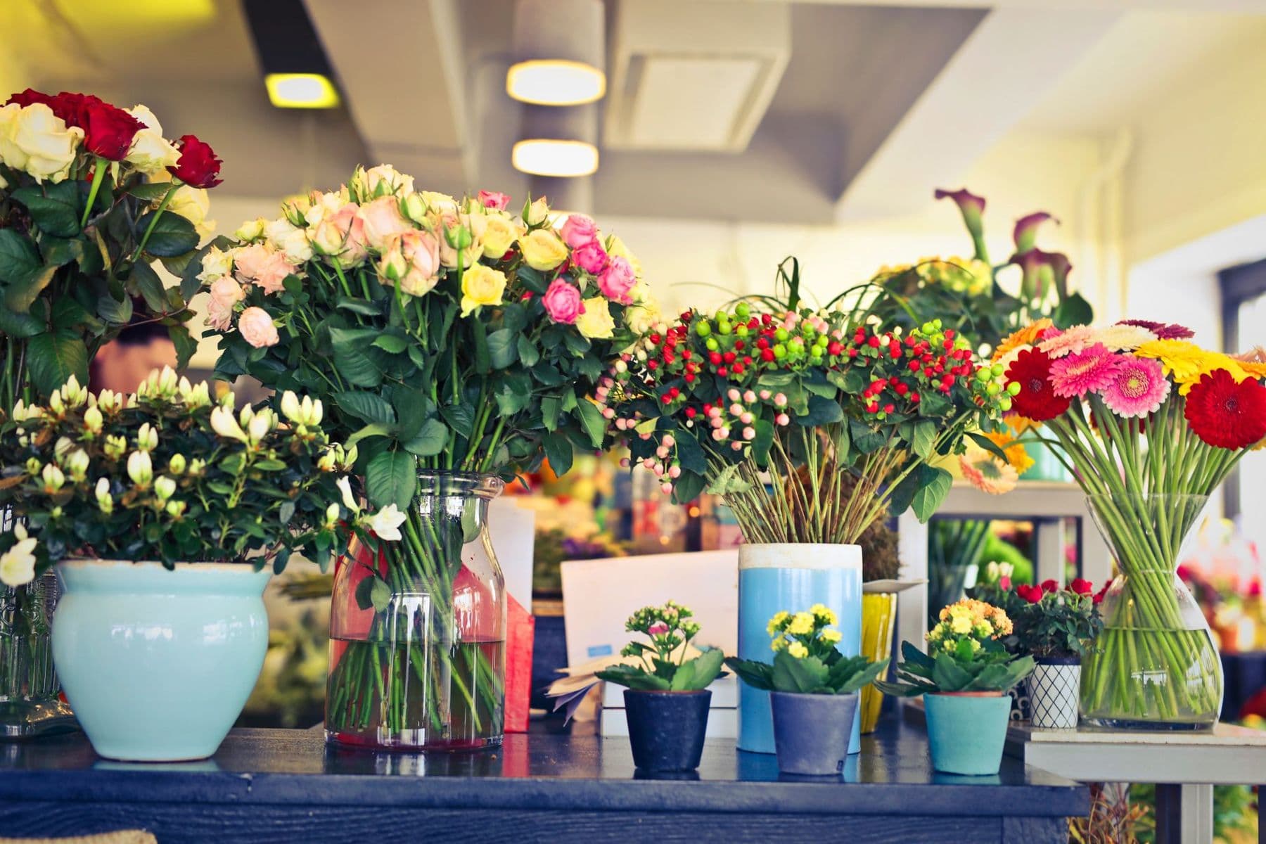 Inside the shop: shelves of potted plants and jugs of fresh flowers